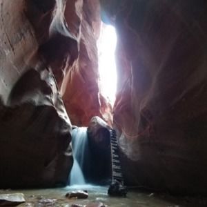 Meet your Posher, Dee